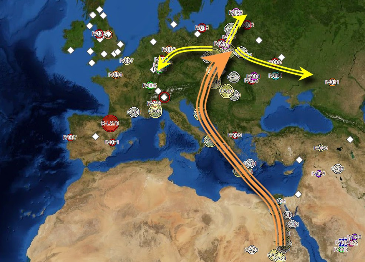 Migrations And Changing Europeans Beginning Around 8,000 Years Ago ...