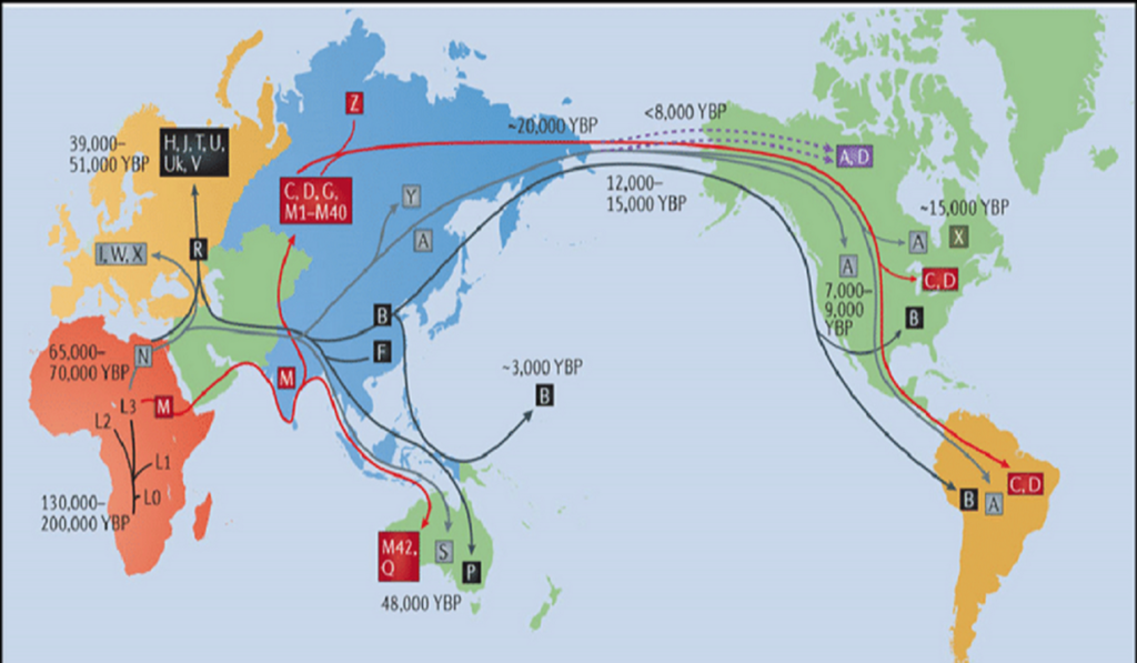 The Origin of Language: Starts in Symbolism Around 100,000 years ago ...