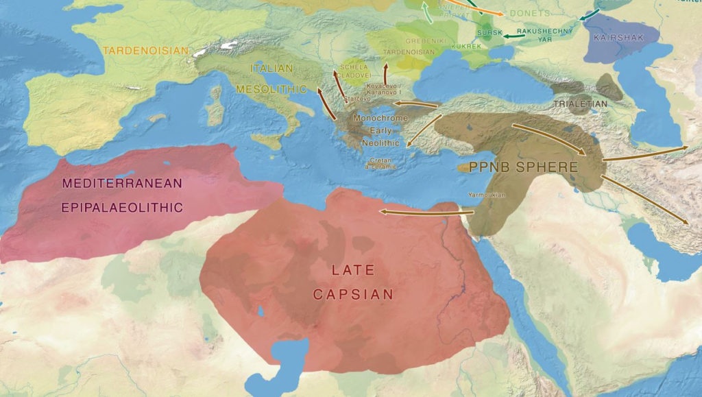 Back-migrations to Africa, Starting with Eurasia to North Africa around ...