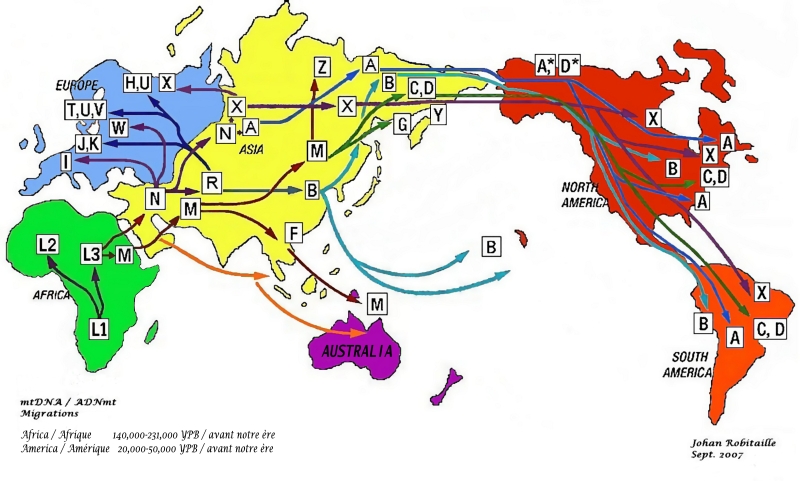 Haplogroup X in China, Egypt, North Africa, Caucasus, Central Asia, and ...