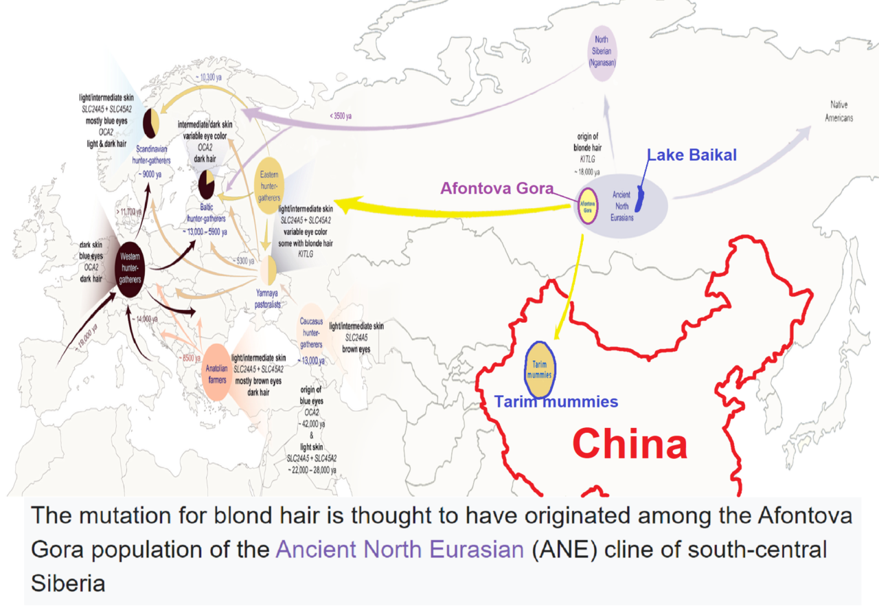 Shamanism Among The Peoples Of The North Uralic Transeurasian Dené