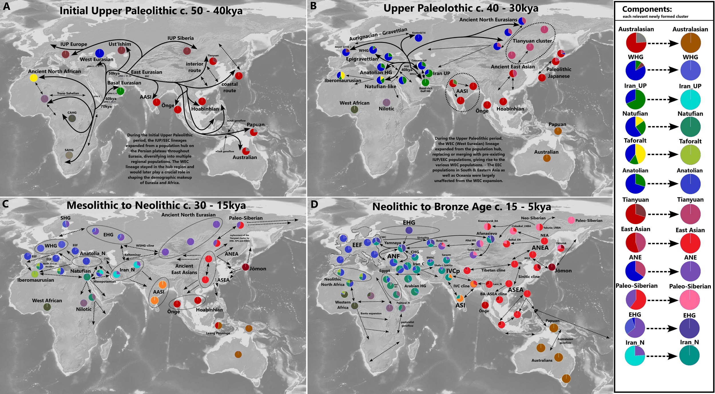 Peopling of Eurasia 2025 - Kopie